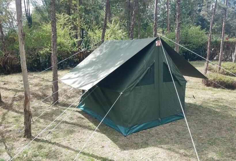 چادر با خدمات رفاهی استاندارد, Triple Eden Resort   Naivasha