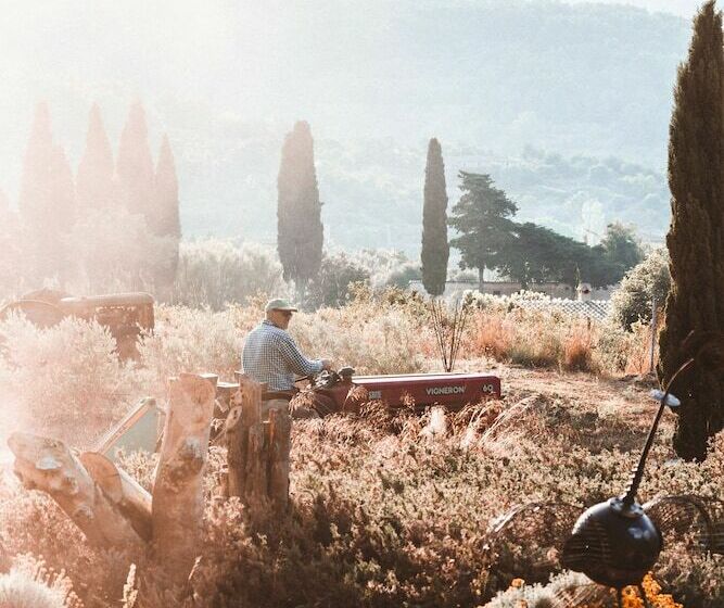 سوئیت جونیور پریمیوم, Finca Ca N Ai  Adults Only