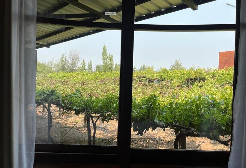 اتاق لوکس, Cava Colchagua Hotel Boutique