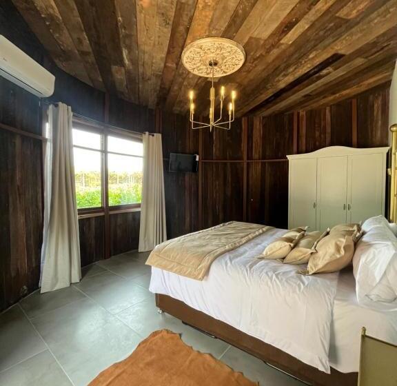 اتاق لوکس, Cava Colchagua Hotel Boutique