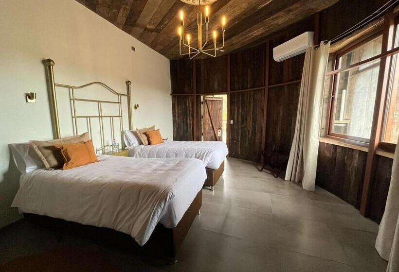 اتاق لوکس, Cava Colchagua Hotel Boutique