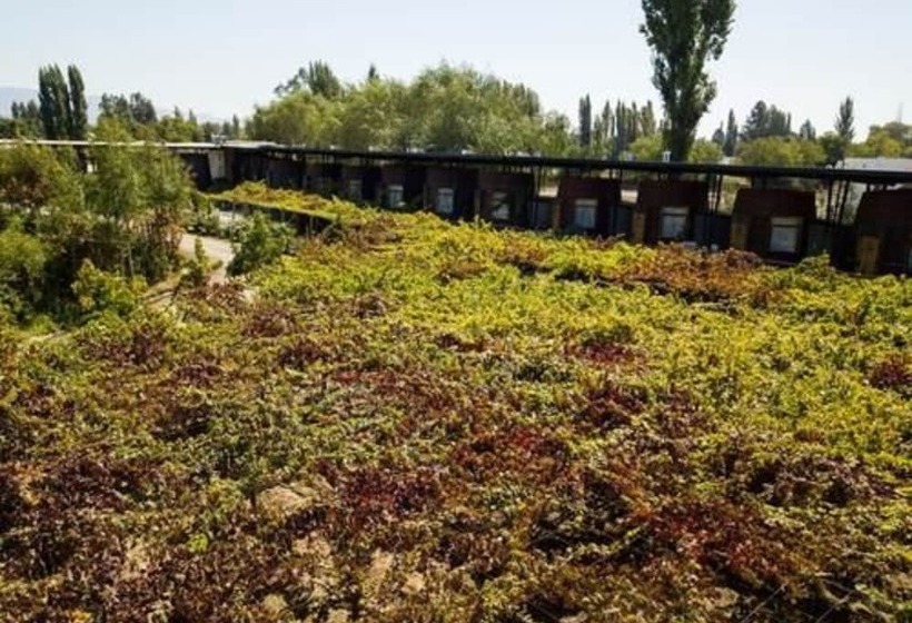 اتاق سوپریور, Cava Colchagua Hotel Boutique