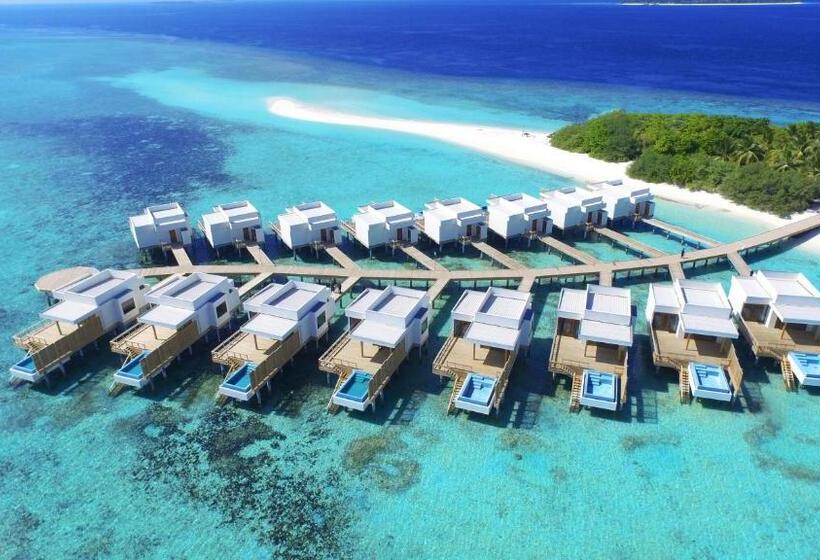 ویلای یک اتاق خوابه با استخر شنا, Dhigali Maldives   A Premium All Inclusive Resort