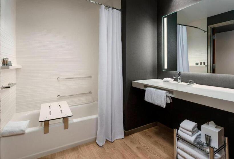 اتاق استاندارد با تخت بزرگ, Ac Hotel By Marriott Chapel Hill Downtown