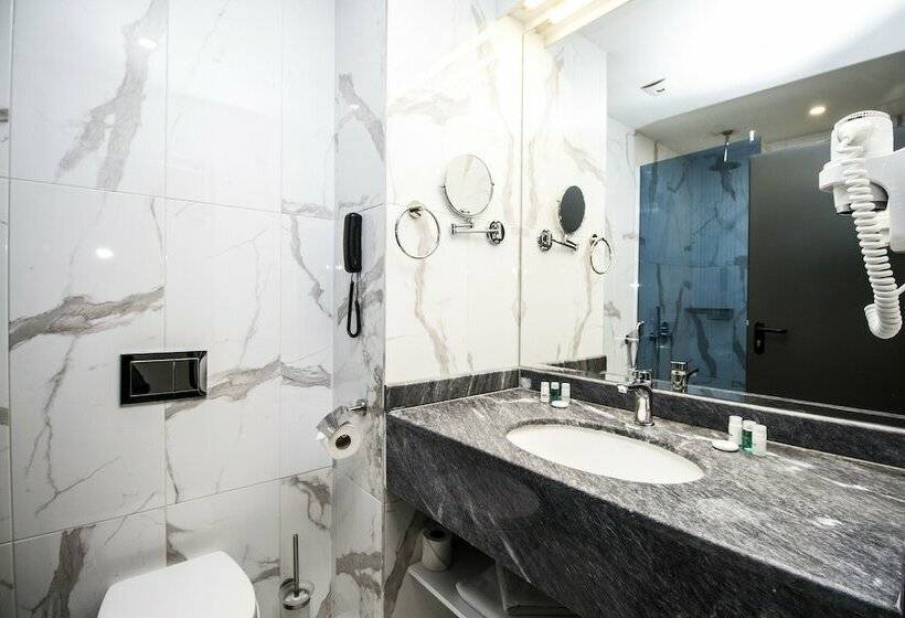 舒适型房间, Best Western Plus Premium Inn