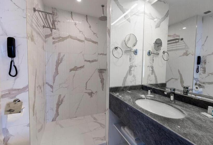 舒适型房间, Best Western Plus Premium Inn