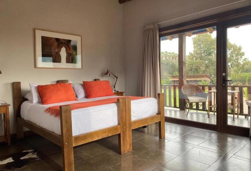 اتاق استاندارد با بالکن, Casa De Campo