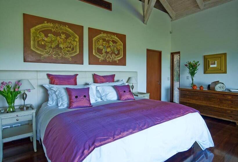 اتاق لوکس با بالکن, Clos Apalta Residence Relais & Chateaux