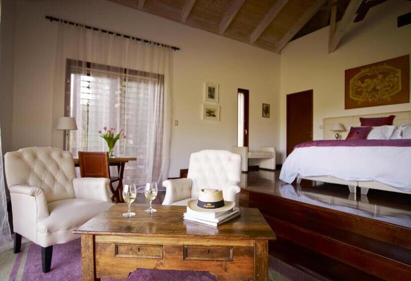اتاق لوکس با بالکن, Clos Apalta Residence Relais & Chateaux