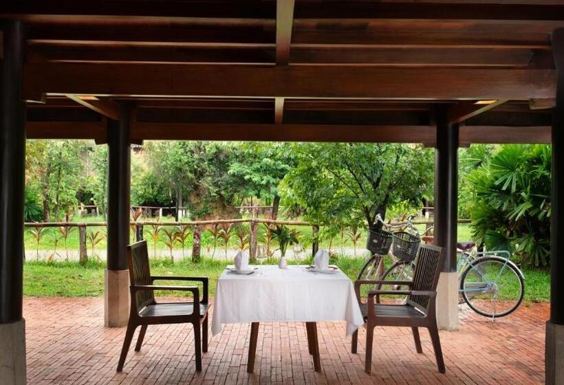 ویلای 1 خوابه, Mane Village Suites