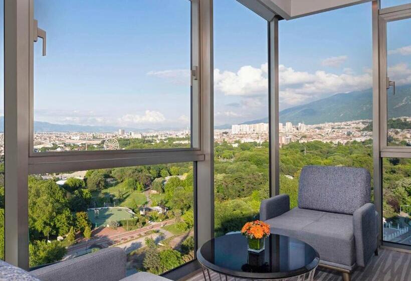اتاق پرمیوم, Mövenpick Hotel & Thermal Spa Bursa