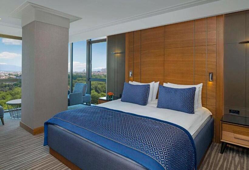 اتاق پرمیوم, Mövenpick Hotel & Thermal Spa Bursa