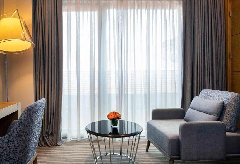 اتاق سوپریور با تخت بزرگ, Mövenpick Hotel & Thermal Spa Bursa