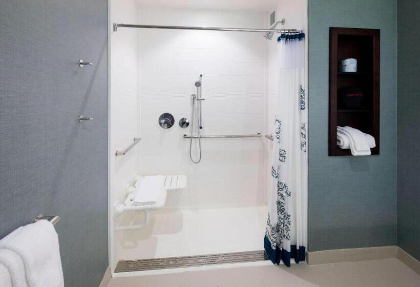 استودیو استاندارد با تخت کینگ, Residence Inn By Marriott Clearwater Beach