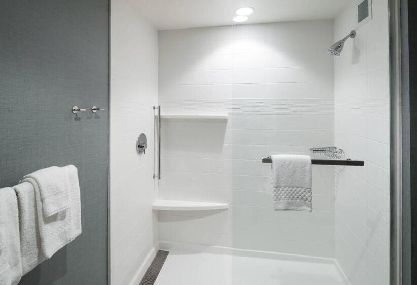 استودیو استاندارد با تخت کینگ, Residence Inn By Marriott Clearwater Beach