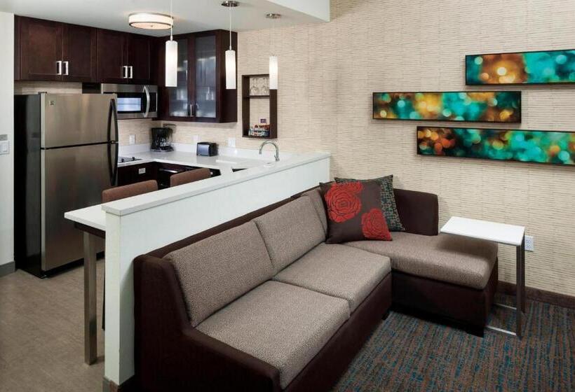 استودیو استاندارد با تخت کینگ, Residence Inn By Marriott Clearwater Beach