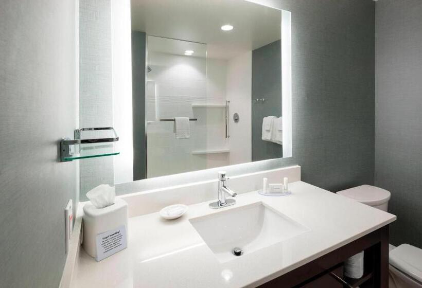 سوئیت با تخت بزرگ, Residence Inn By Marriott Clearwater Beach
