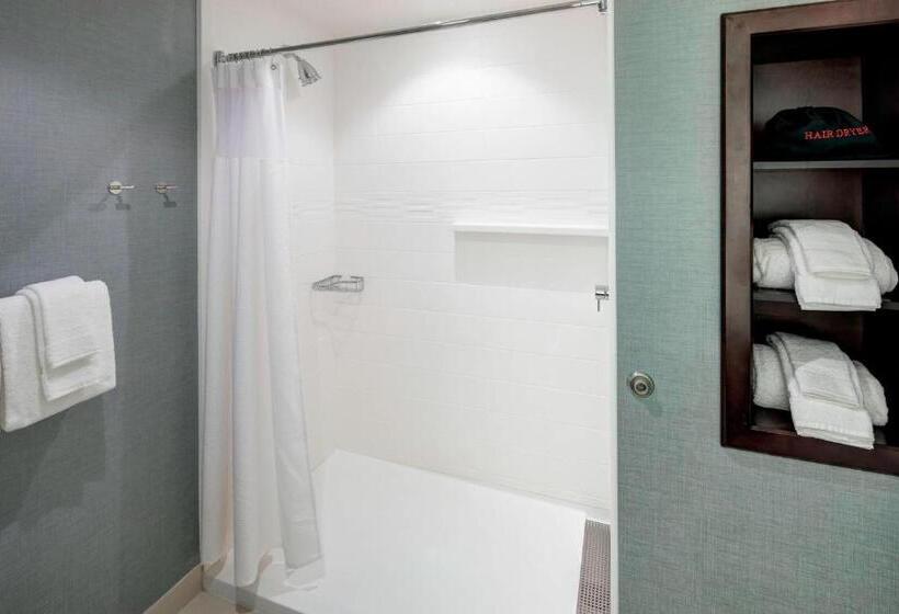 سوئیت با تخت بزرگ, Residence Inn By Marriott Clearwater Beach