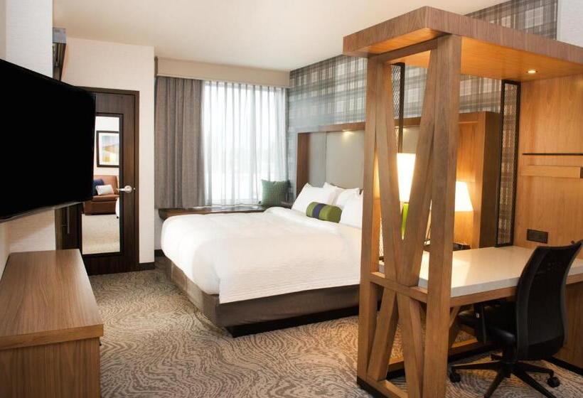 سوئیت با تخت بزرگ, Springhill Suites By Marriott Bend