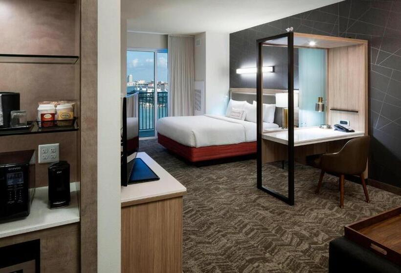 سوئیت با تخت بزرگ, Springhill Suites By Marriott Clearwater Beach