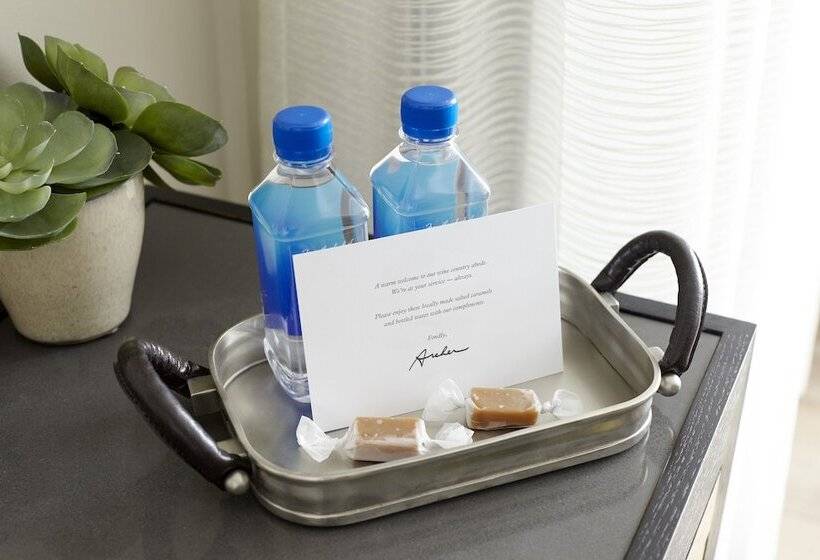 اتاق کلاسیک با تخت دونفره, Archer Hotel Napa