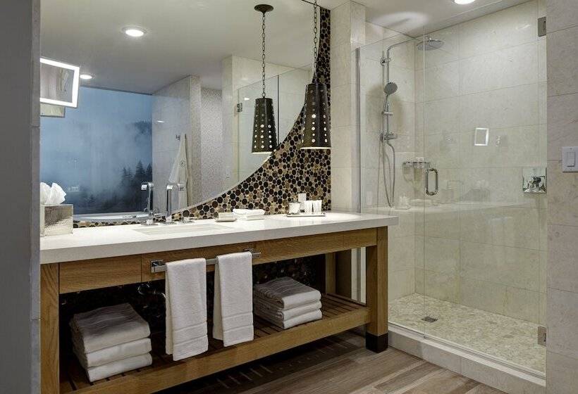 سوئیت برای معلولان, Archer Hotel Napa