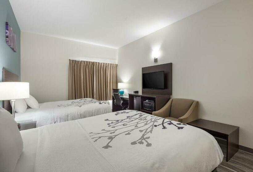 اتاق استاندارد, Sleep Inn & Suites