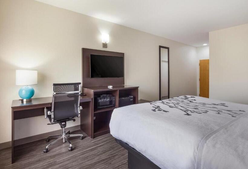 اتاق استاندارد با تخت بزرگ برای معلولان, Sleep Inn & Suites