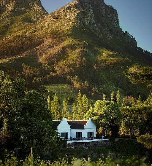 سوییت لوکس, Molenvliet Vineyards