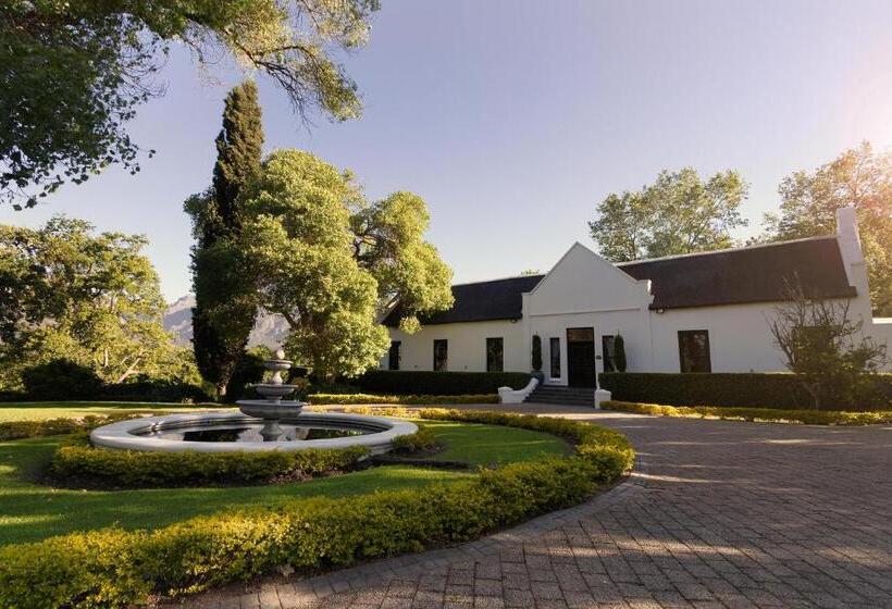 اتاق لوکس, Molenvliet Vineyards