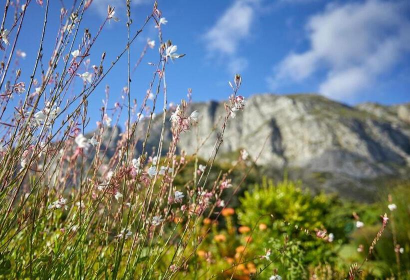 سوئیت جونیور با چشم‌انداز کوهستان, The Thatch House Boutique Hotel, Hermanus