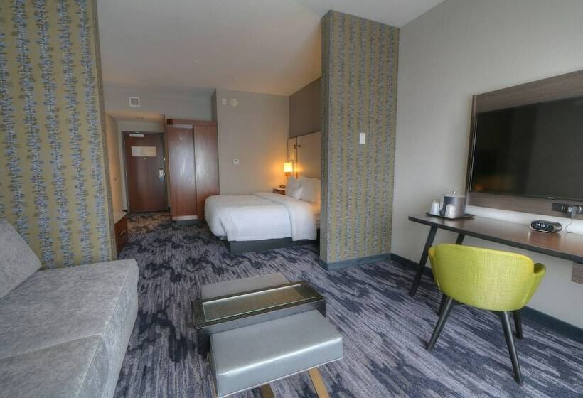 Suite, Fairfield Inn & Suites By Marriott Gatlinburg Downtown