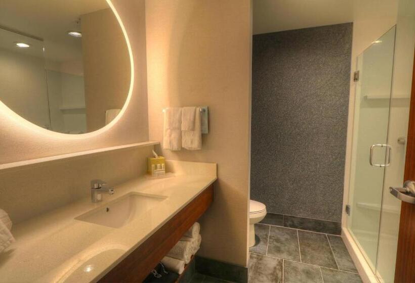 Suite Pat King, Fairfield Inn & Suites By Marriott Gatlinburg Downtown