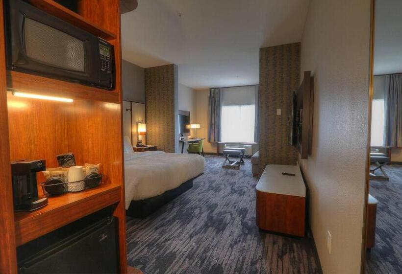 سوئیت با تخت بزرگ, Fairfield Inn & Suites Gatlinburg Downtown