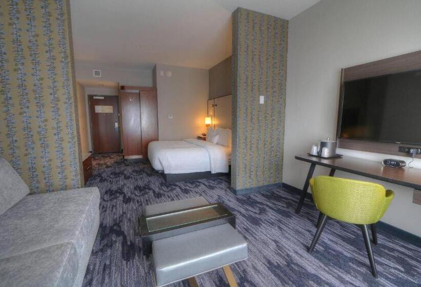 سوئیت با تخت بزرگ, Fairfield Inn & Suites Gatlinburg Downtown