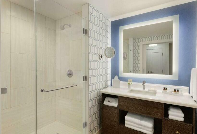 带大床的标准间, Fairmont Austin