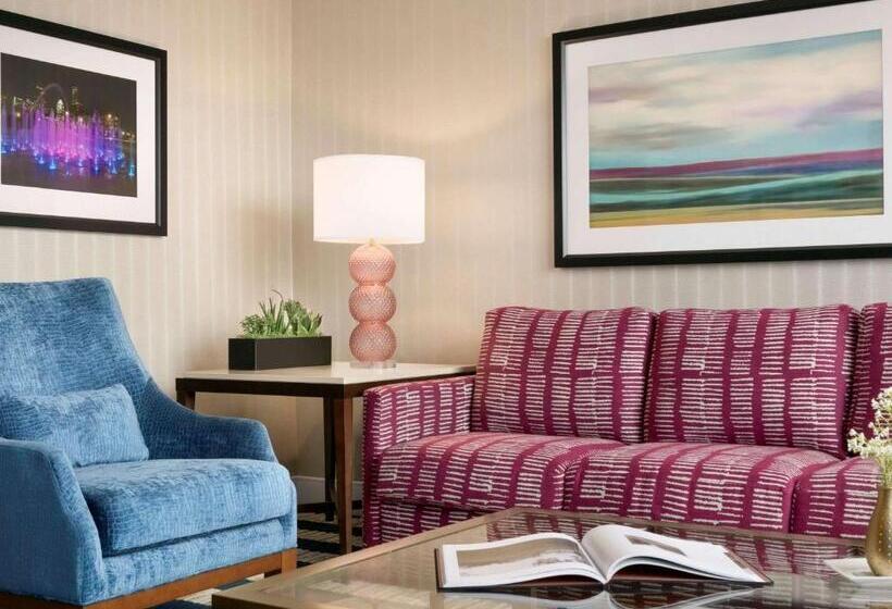 带大床的套房, Fairmont Austin