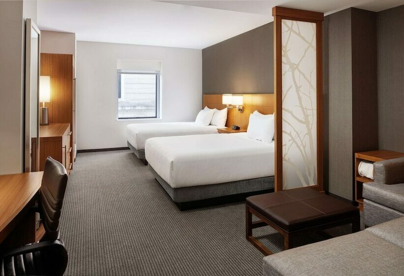 اتاق استاندارد با تخت دو نفره بزرگ برای معلولان, Hyatt Place Knoxville/downtown