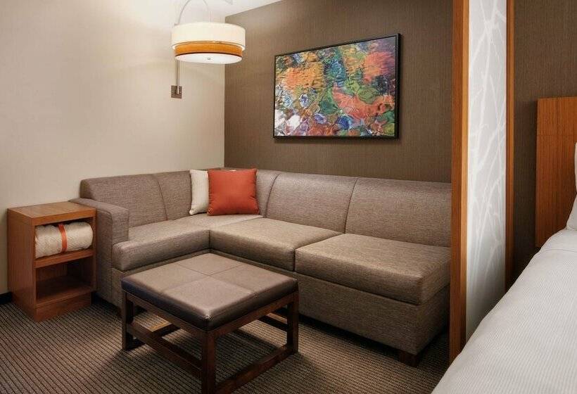 اتاق استاندارد با تخت دو نفره بزرگ برای معلولان, Hyatt Place Knoxville/downtown