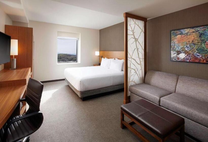 اتاق استاندارد با تخت بزرگ, Hyatt Place Knoxville/downtown