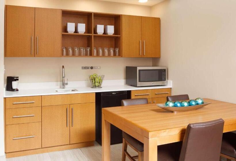 سوئیت با تخت بزرگ, Hyatt Place Knoxville/downtown