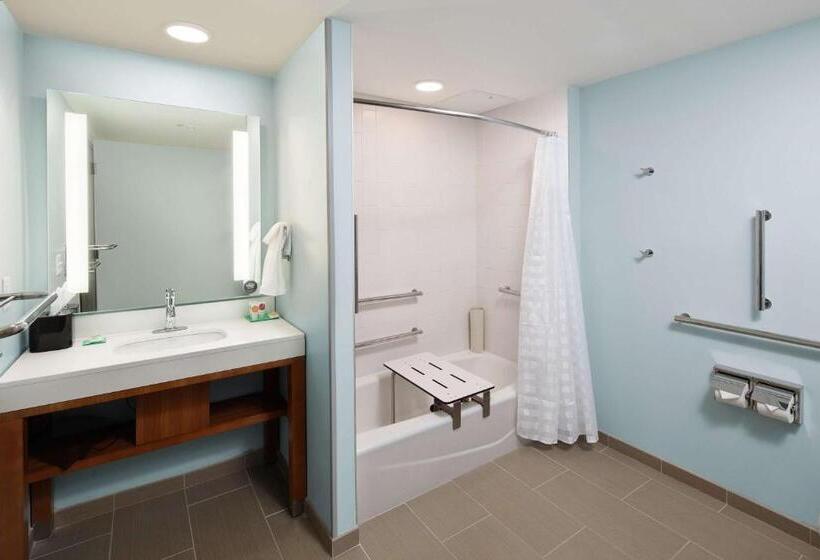 اتاق استاندارد با تخت دو نفره بزرگ برای معلولان, Hyatt Place Knoxville/downtown