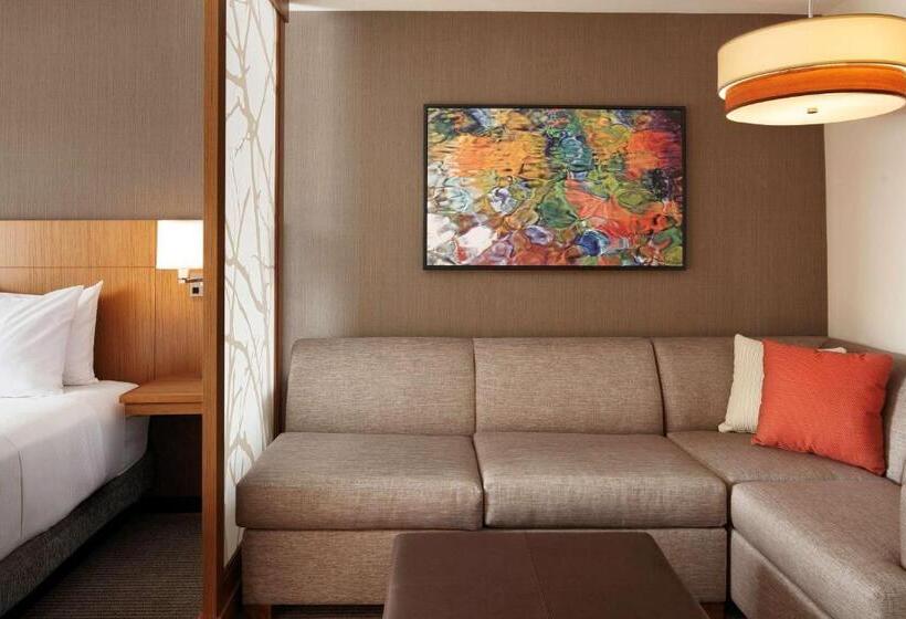 اتاق استاندارد برای معلولان, Hyatt Place Knoxville/downtown