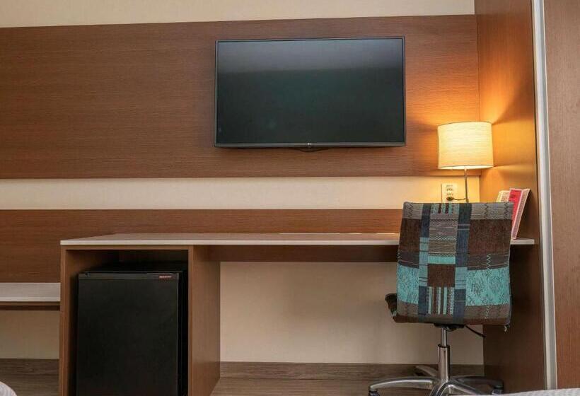 آپارتمان 1 خوابه, Ibis Styles Curitiba Aeroporto