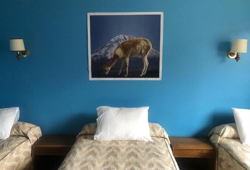 اتاق استاندارد سه نفره, Las Vicuñas