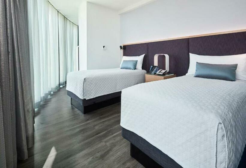 Suite, Universal S Aventura