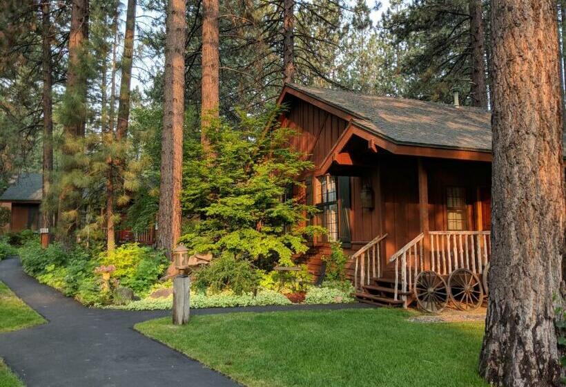 خانه 1 خوابه, Black Bear Lodge