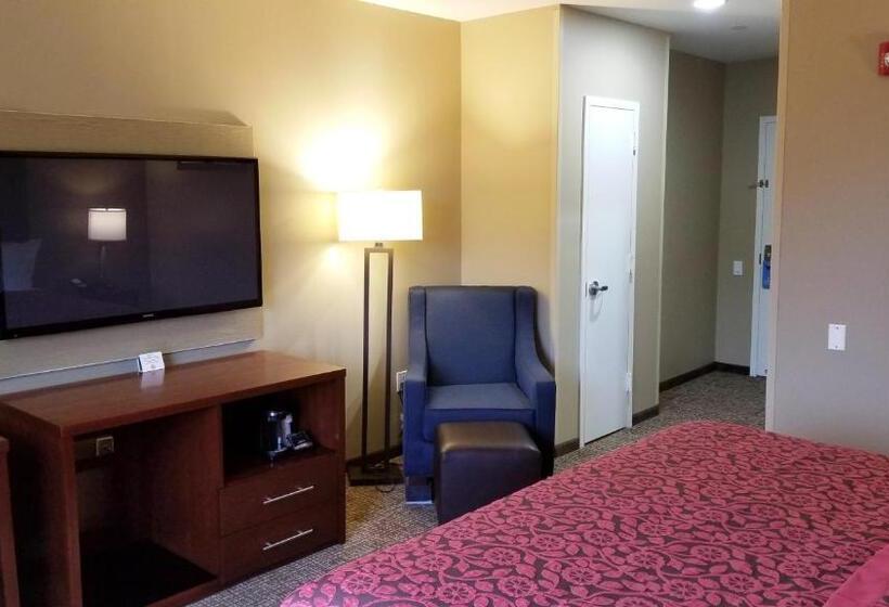 اتاق استاندارد با تخت بزرگ برای معلولان, Days Inn By Wyndham Brooklyn Marine Park