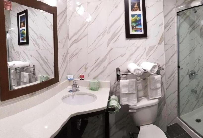 اتاق استاندارد با تخت بزرگ, Days Inn By Wyndham Brooklyn Marine Park