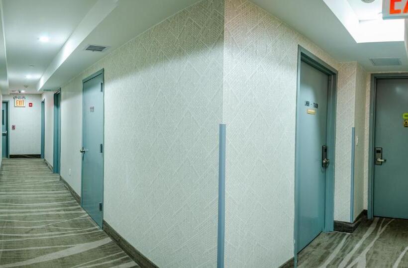اتاق لوکس با تخت بزرگ, Elmhurst